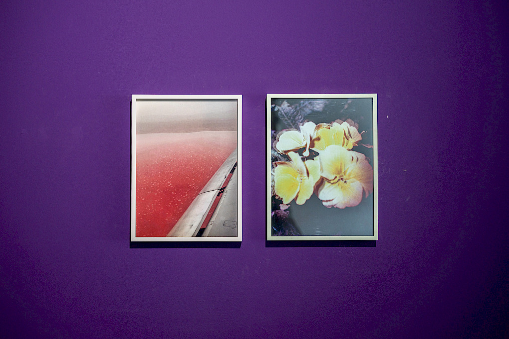 Ausstellungsansichten von Matthew Hansen