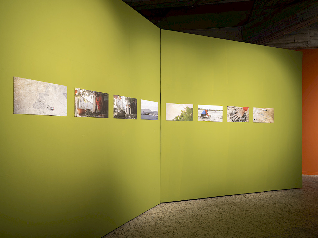 Drucke von Aline Baiana | Foto: Marvin Systermans