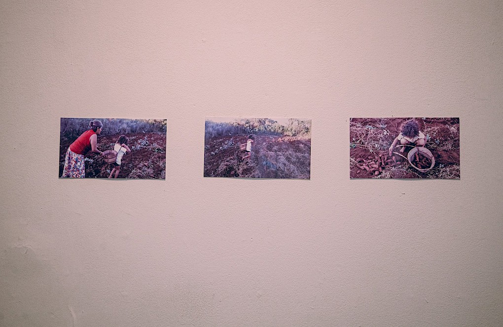 Installation view by Bona Bell